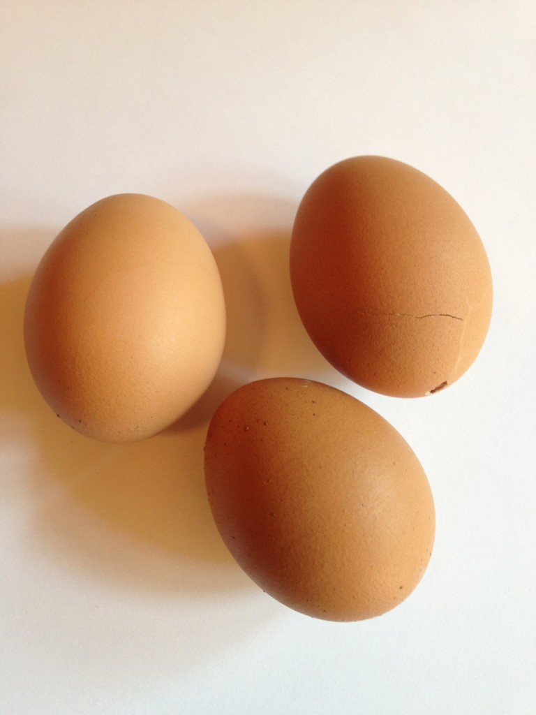 Eggs for making Egg Bunnies